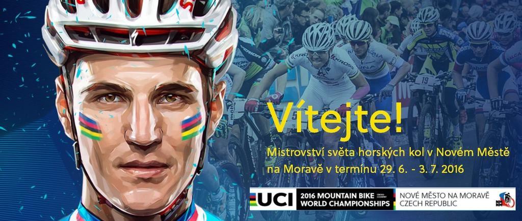Ubytovani U Kaplicky Нове-Место-на-Мораве Экстерьер фото